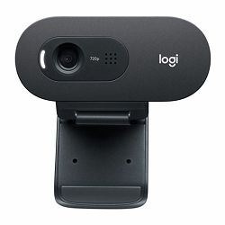 WEB kamera Logitech C505e HD 960-001372