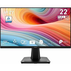 MON 22 MSI PRO MP225 E12VL 9S6-3PE0CM-025