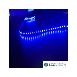 EcoVision LED traka 0.5m, 3528, 60LED/m, 4.8W/m, 36V DC, plava