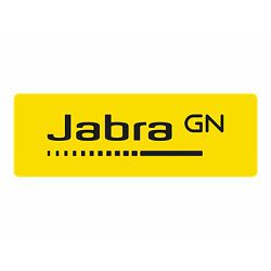JABRA Link 265 USB with 2 QD 265-09