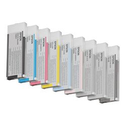 EPSON 5LB T6061 ink cartridge photo C13T606100
