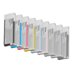EPSON 5LB T6069 ink cartridge light C13T606900