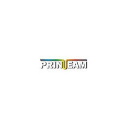 Print-Team HP N9K08AE (304XL)tinta crna ( stranica) remanufacture