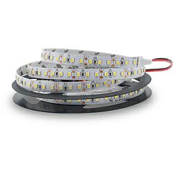 EcoVision LED traka 5m, 2835, 120LED/m, 14.4W/m, 12V DC, 6000K, IP20