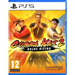 Cobra Kai 2: Dojos Rising (Playstation 5) - 5060968300029