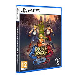 Double Dragon Gaiden: Rise Of The Dragons (Playstation 5) - 5016488140614