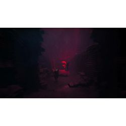 REANIMAL (PC) - 9120131602827