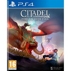 Citadel: Forged with Fire (PS4) - 0884095196097