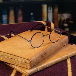 NOBLE COLLECTION - HARRY POTTER - HARRY POTTER'S GLASSES - 849421009618