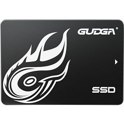 Gudga GS, 256 GB 2,5" SSD, SATA III | 3D NAND