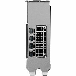 NVIDIA RTX 2000 PRO Blackwell PCI-Express x16 Gen 4.0, Dual Slot, 16 GB GDDR6 ECC 128-bit, HDCP 2.2 and HDMI 2.0 support with opt. Adapter