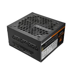 COUGAR GEXX2 1000 PSU,80 plus Gold, 1000W, Fully Modular, PCI-E 5.0 support