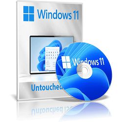 DSP Windows 11 Pro Cro 64-bit, FQC-10524 FQC-10524