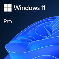 MS Windows 11 Professional 64-bit Eng FQC-10528