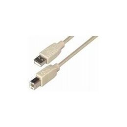 Transmedia USB 2.0 AB, Beige, 5m