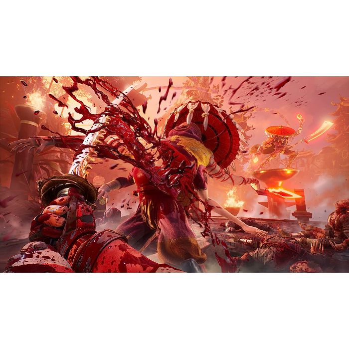 COL-14441_17.jpg