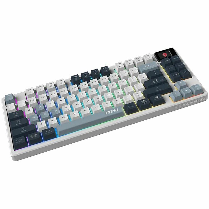 FORGE-GK600-TKL-W-SKY-US_2.jpg